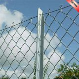 Anti Climb Security Pvc Fencing Garden Wire Mesh Fence/ Galvanized Chain Link Fences