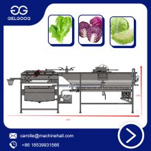 Tomato Bubble Washing Line With High Pressure Spray System  Bubble Washer Factory Price