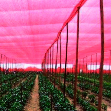 Maxpower Garden Shade Net thumbnail-3