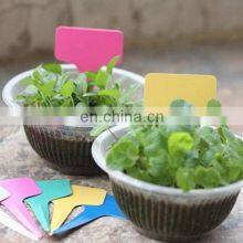 Plastic Waterproof Plant Labels thumbnail-3