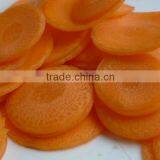 Carrot Cutter/Carrot Slicing Machine thumbnail-3