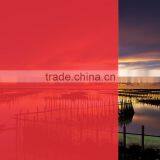 2014 New Plastic Transparent Color Red Film
