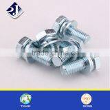 Whosale Hot Dip Galvanized Hex Bolt