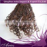 7A Brazilian Kinky Curly Lace Closure,100% Human Virgin Hair 4"x4" Lace Front Closure With Baby Hair Bleached Knots thumbnail-1