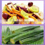 Full Stainless Small Capacity Fruit Vegetables Dehydrator Machine / Fruit and Vegetable Dryer Price thumbnail-4