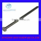 Common Iron Round Flat Head Nail thumbnail-1