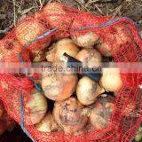 Fresh Red/yellow Onion High Quality From China thumbnail-2