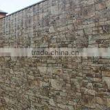 Building Material Prepainted Galvanized Steel Coil Price for Roofing Sheet thumbnail-4