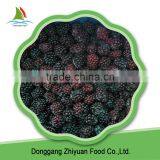 Frozen Blackberry thumbnail-3