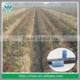 PE Hose Pipe/ Plastic Flexible Hose / Water PE Garden Hose thumbnail-6