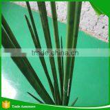 With Pot Direct Sansevieria Snake Grass Artificial Lucky Plants for Home thumbnail-2