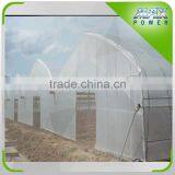 Agricultural Poly Film Greenhouse thumbnail-3