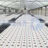Agricultural NFT Cultivation Channel Used Greenhouse thumbnail-1