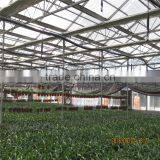 China Supplier Horticultural Green House for Export thumbnail-2