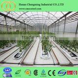 Vegetable Tunnel Greenhouse Corrugated Galvanized Steel Pipe Walk in Garden Greenhouse thumbnail-6