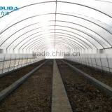 Polythene Film Greenhouse For Agriculture thumbnail-3