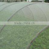 Agricultural Film thumbnail-1