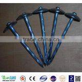 Factory! High Quality Loose Nails, Umbrella Head Roofing Nails thumbnail-4