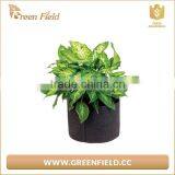 Garden Fabric Plant Grow Bag Felt Fabric Plant Grow Bag thumbnail-1