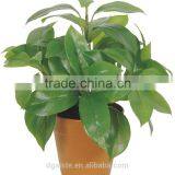 Artificial Green Bonsai Bamboo Leaf Kwai WB33-22J-GN( Plant Bonsai Flower Tree of Este ) thumbnail-3