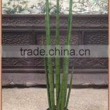 Artificial Succulent Sansevieria Cylindrica Plant thumbnail-2