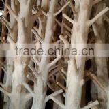 Wooden Coat Rack thumbnail-5