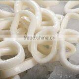 Pacific Squid Ring thumbnail-1