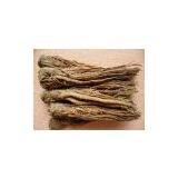 Angelica Einensis Extract thumbnail-1