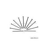 Sell Common Nail thumbnail-1