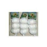 Chinese Whole White Garlic