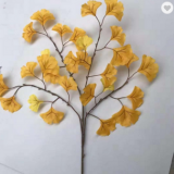 Silk Cloth Material Yellow Artificial Ginkgo Tree Leaves