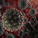 Adenovirus Control Prodcution