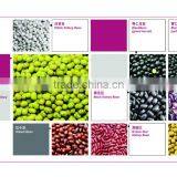 Black Rice thumbnail-4