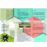 Custom A4,a5,a6 Leaflets Flyers Brochure Pamphlet Printing in China(mainland) thumbnail-1