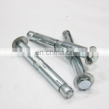 Plated Concrete Screw Sleeve Type Elevator Conical Cap Wedge Stainless Steel Hexagon Socket Head Expansion Anchor Bolts