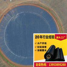 Geomembrane Liners HDPE 8 Meters Wide, 90 Meters Long, and 2.0mm Thick