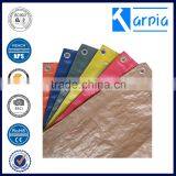 Light Duty Low Price Korea pe Tarpaulin to Cover the Pool thumbnail-3