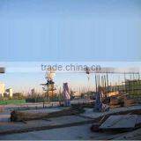 Tower Crane TT5516-8 Hot Sale Topless JOST Type