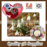 2015 Factory Supply Creative Lenticular PP/PET 3D Table Mat With Four Color Printing thumbnail-2