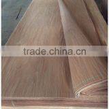 Gurjan Face Veneer thumbnail-3