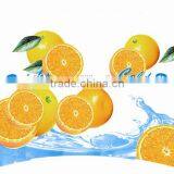 Price Of Paper Cup Paper Biggest Supplier thumbnail-1