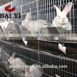 BAIYI Cheap Low Carbon Steel Wire Cage for Rabbit thumbnail-5