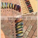 2016 Hot Sale Nail Art 15ml Free Samples Soak off Uv/led Color uv Gel Polish Chameleon Cat Eyes thumbnail-1