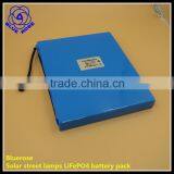 Solar Street Lamps Led Lighting 12v 21Ah LiFePO4 Battery Batteries