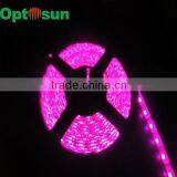 Flexible Waterproof Led String Lights 5050smd thumbnail-1