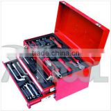 Combined Tool Kits with 2 Drawer Metal Case