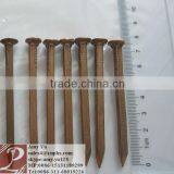 Pure Copper Boat Nails,copper Wire Nail thumbnail-1