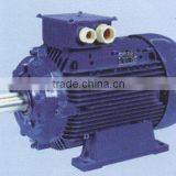 Ac Induction Motor thumbnail-1