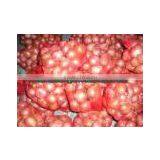 Gold Onion ( Crops 2013) thumbnail-5