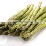 Frozen Asparagus, IQF Asparagus thumbnail-3